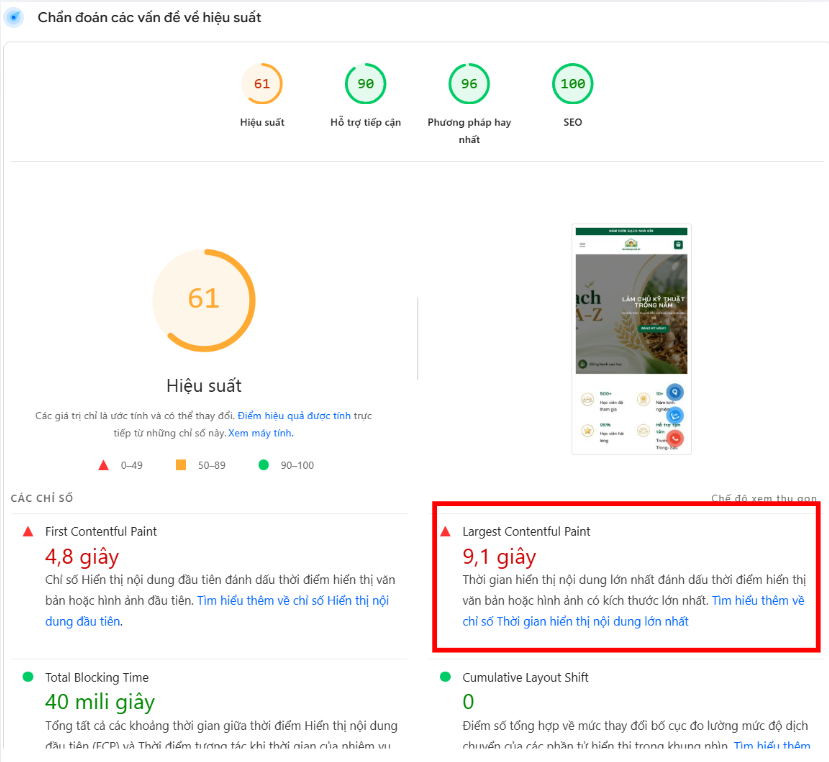 PageSpeed Insights là gì Phân tích số liệu lỗi web trên Mobile- LCP